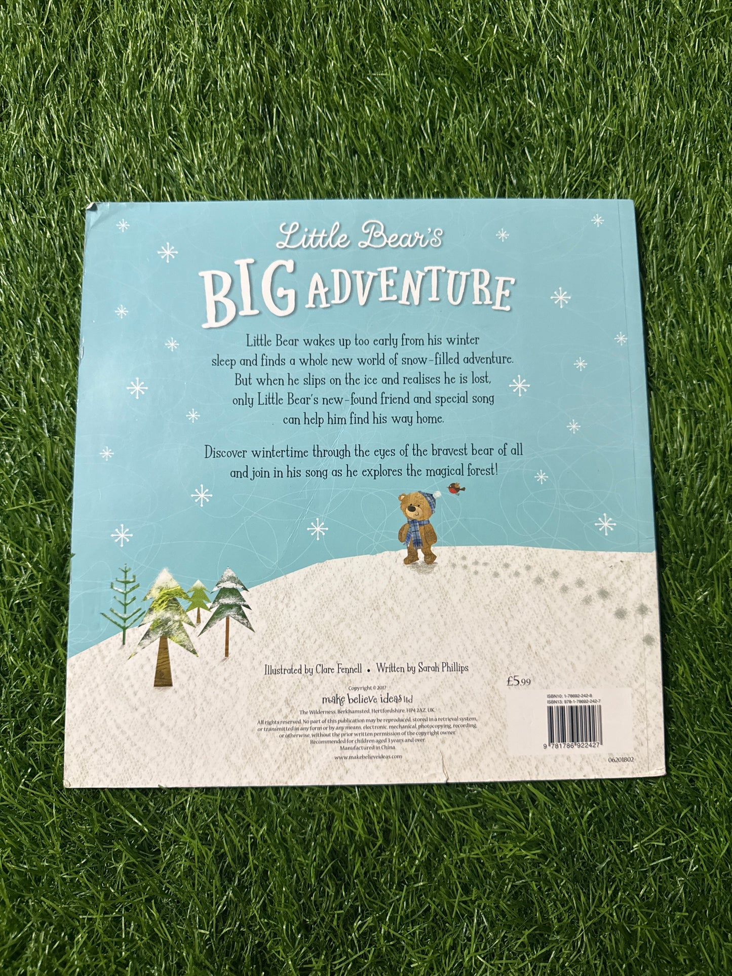 Little Bear's Big Adventure