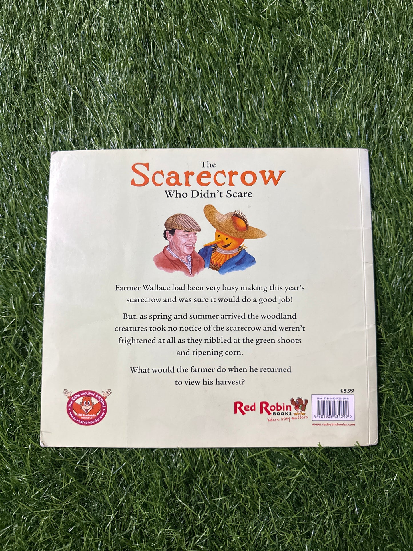 The Scarecrow Who Didn't Scare