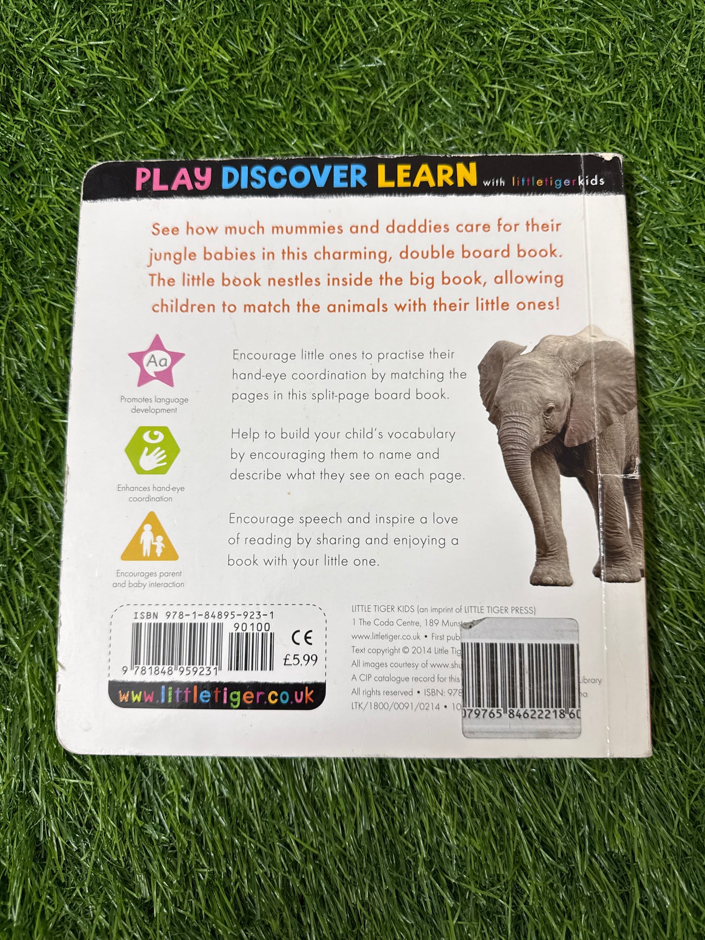 My First Big and Little Book: Jungle Baby