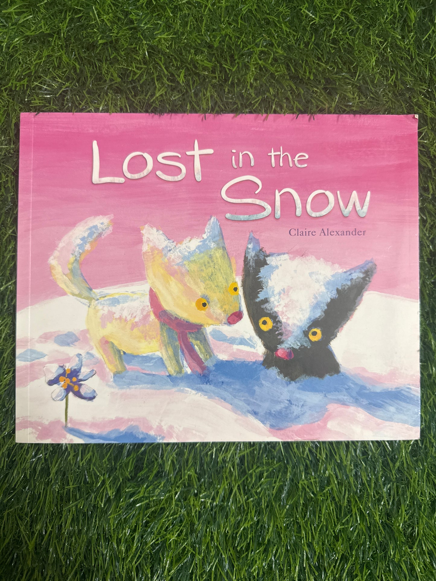 Lost in the Snow