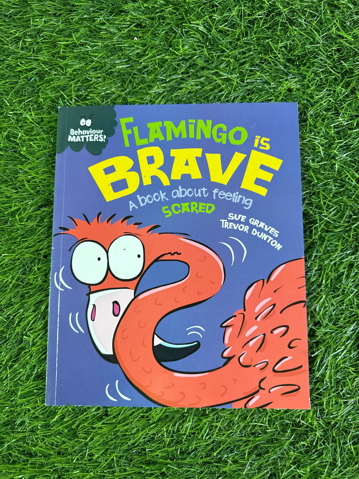 Behaviour MATTERS!: Flamingo Is Brave