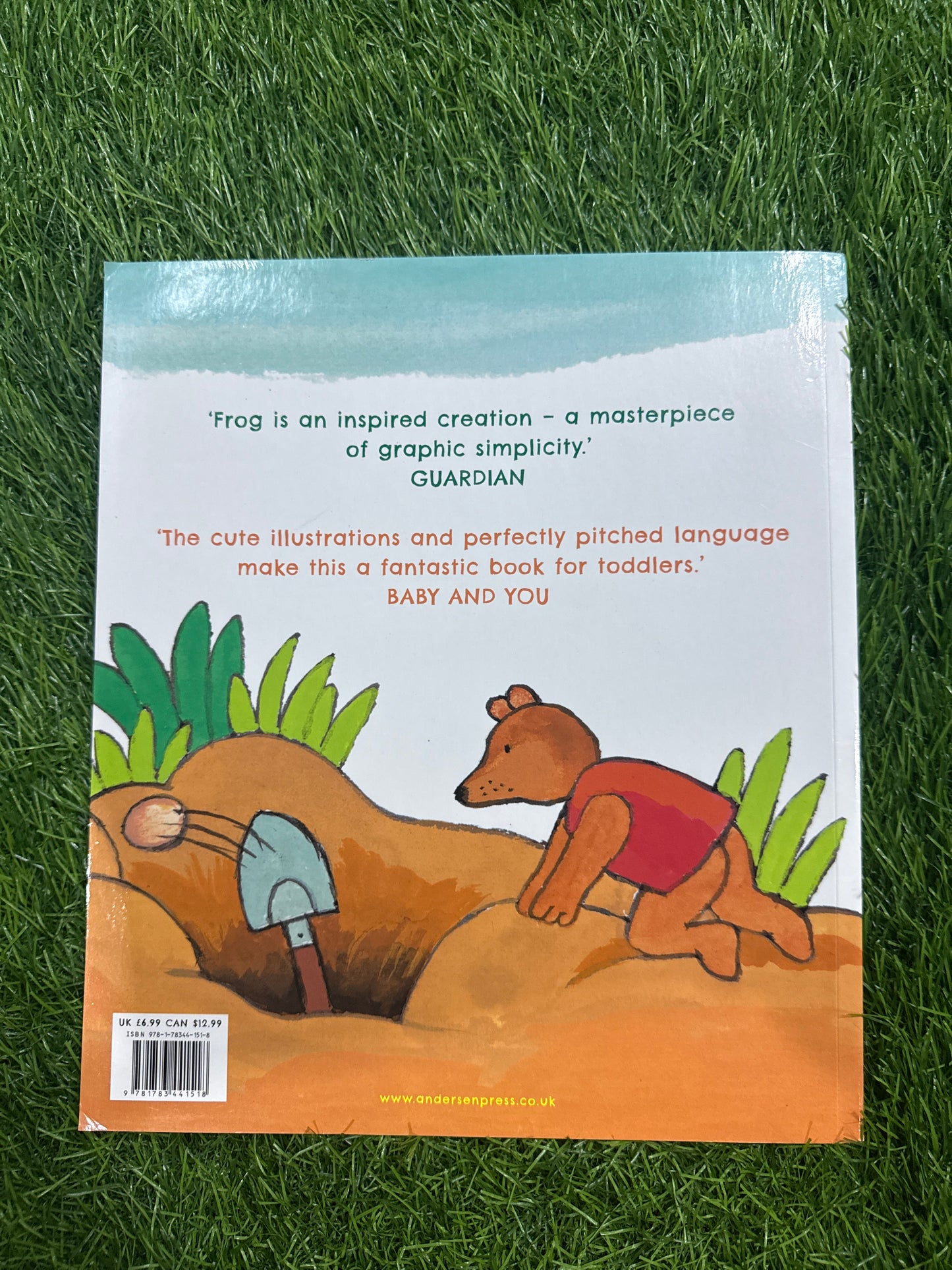 Frog and the Treasure