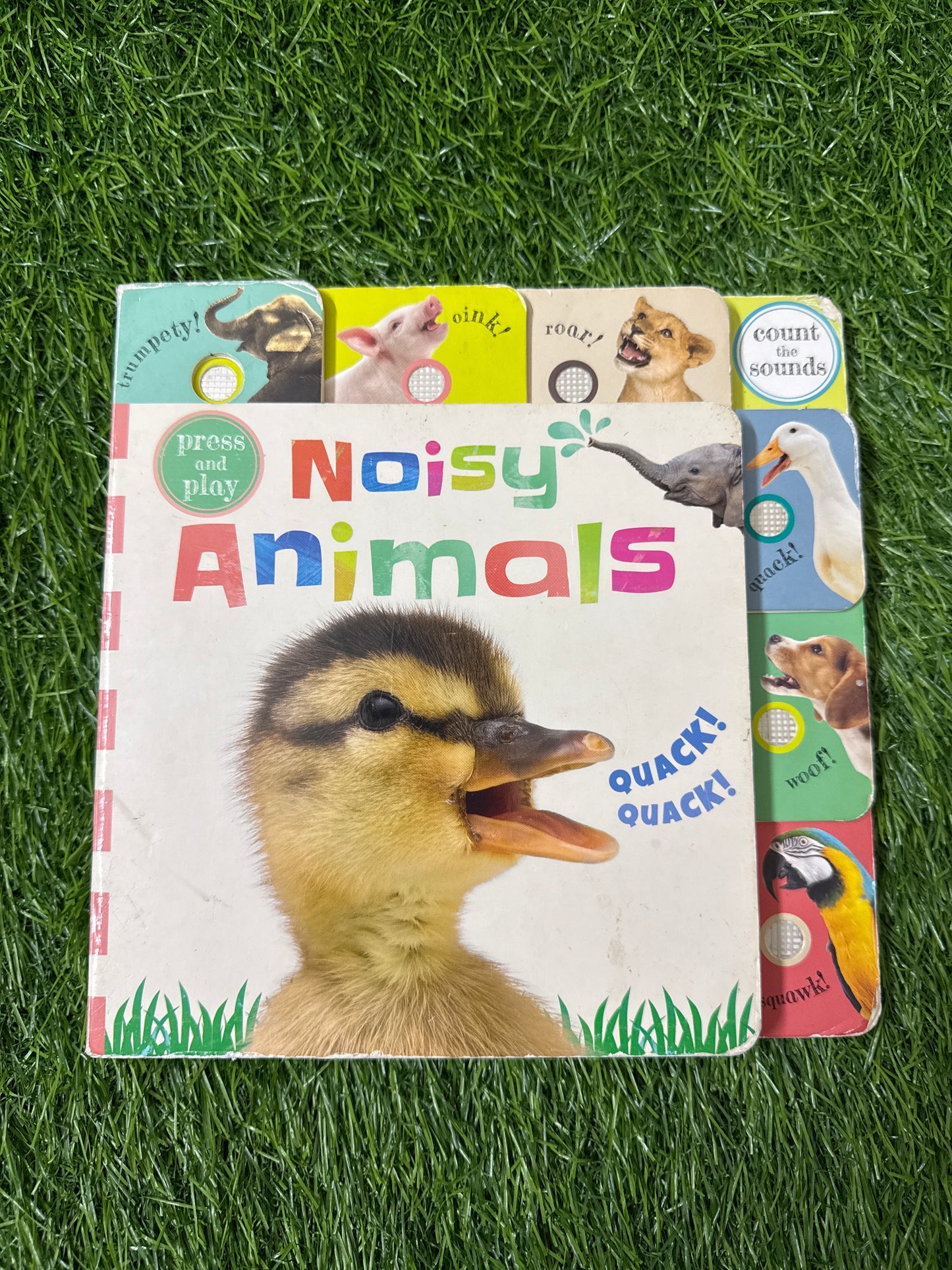 Press and Play: Noisy Animals