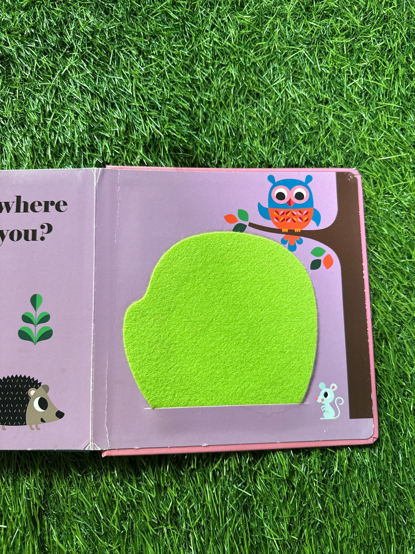 Where’s Mr Owl?