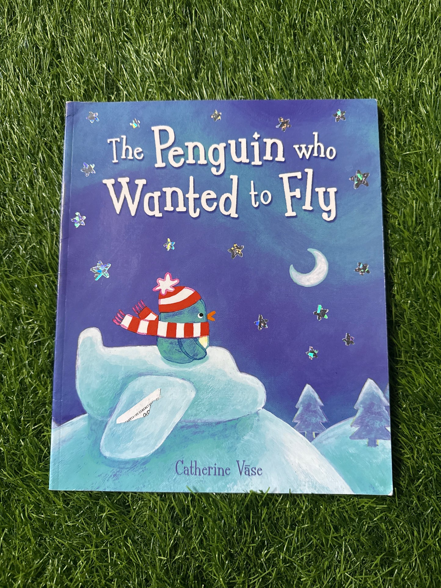 The Penguin Who Wanted to Fly