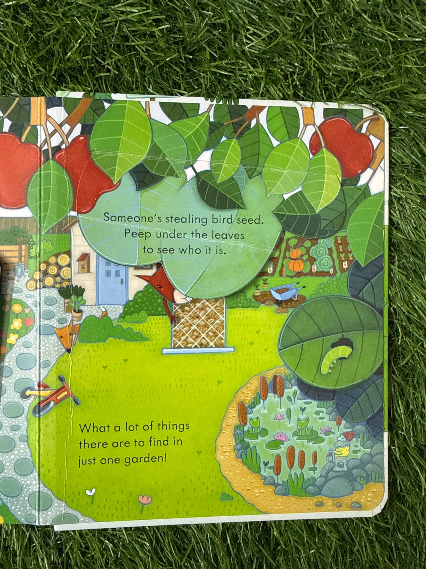 Peep Inside The Garden
