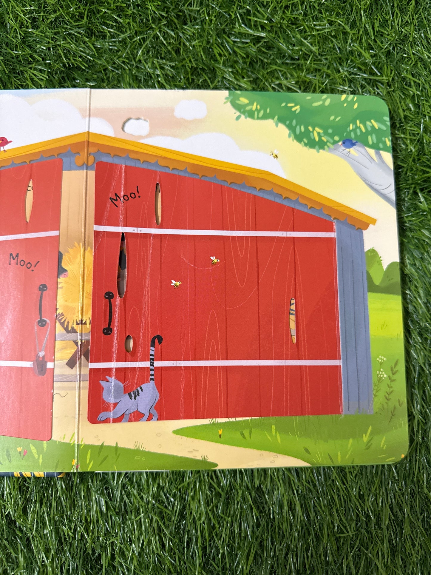 Peep Inside the Farm