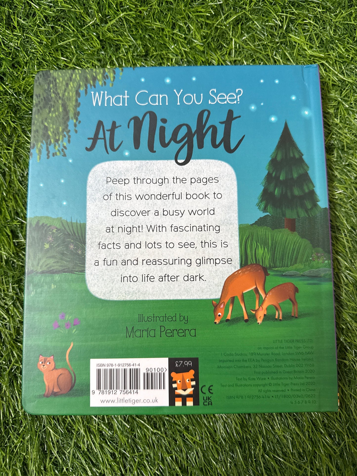 What Can You See At Night?