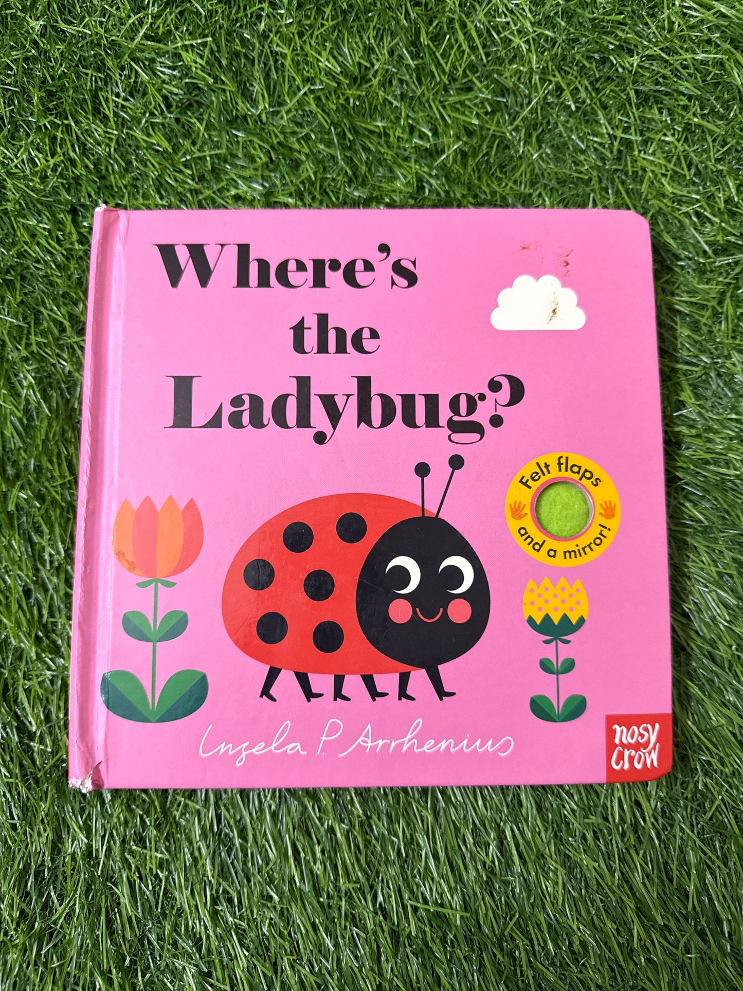 Where’s the Ladybug?