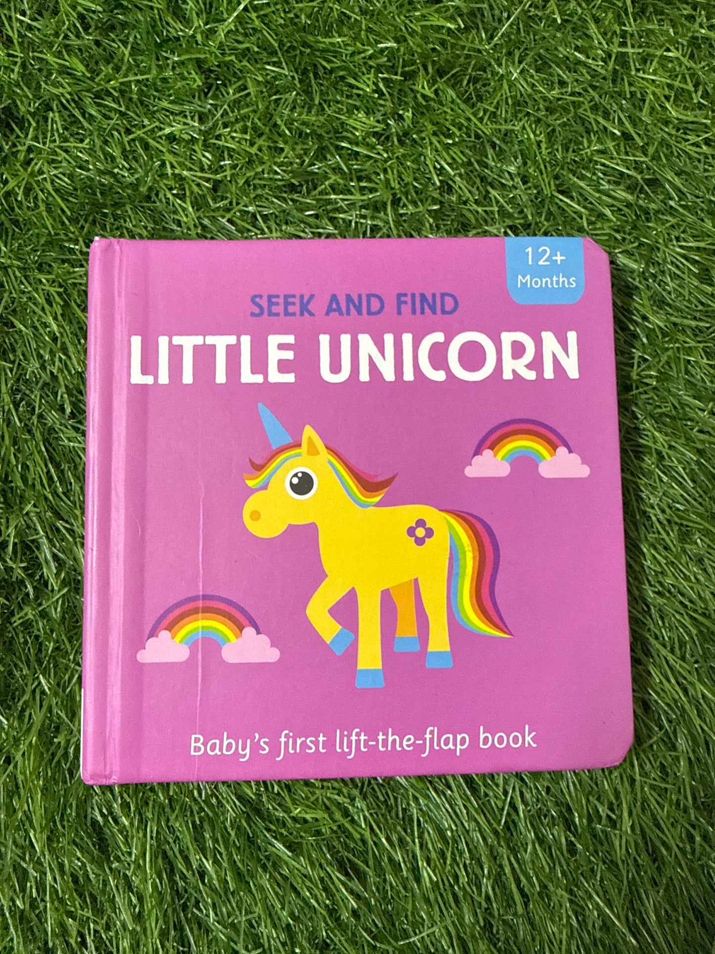 Seek and Find Little Unicorn