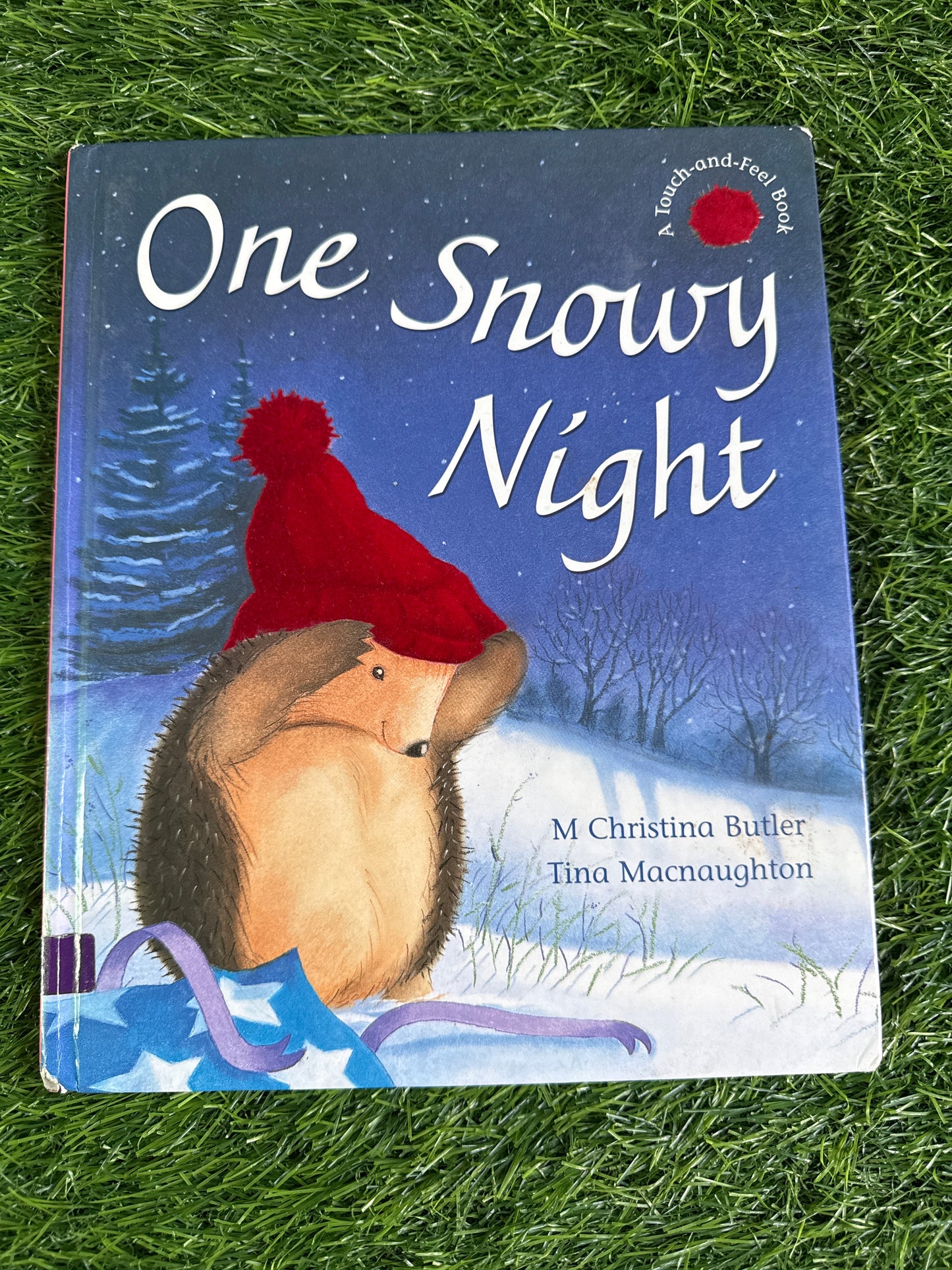 One Snowy Night