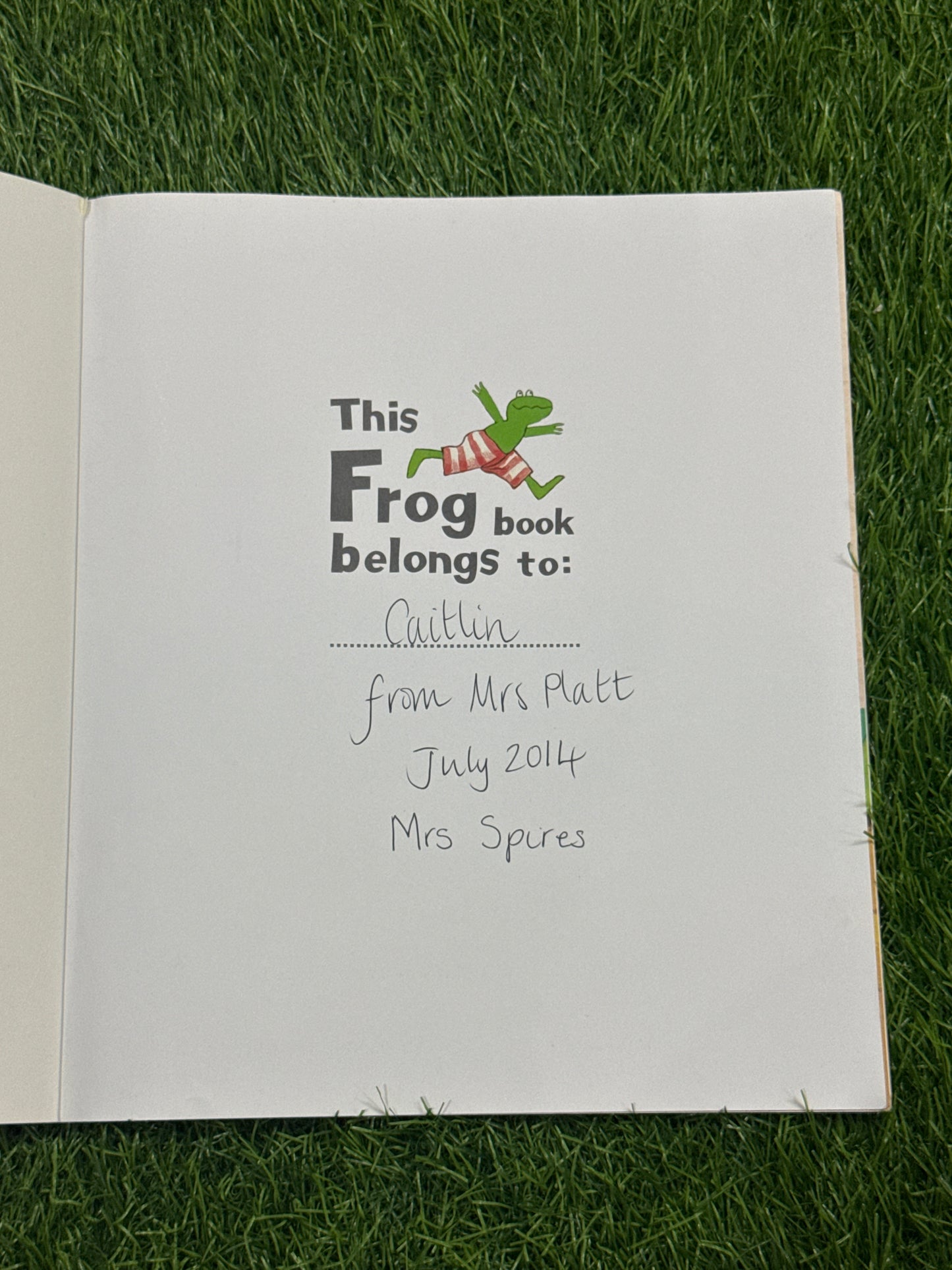 Frog and the Treasure