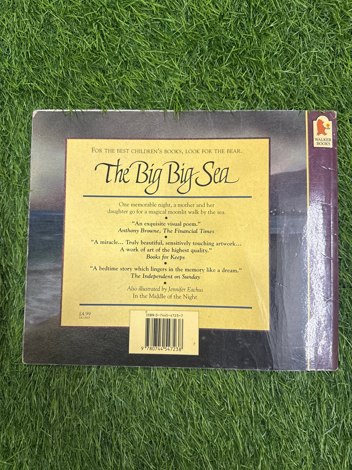 The Big Big Sea