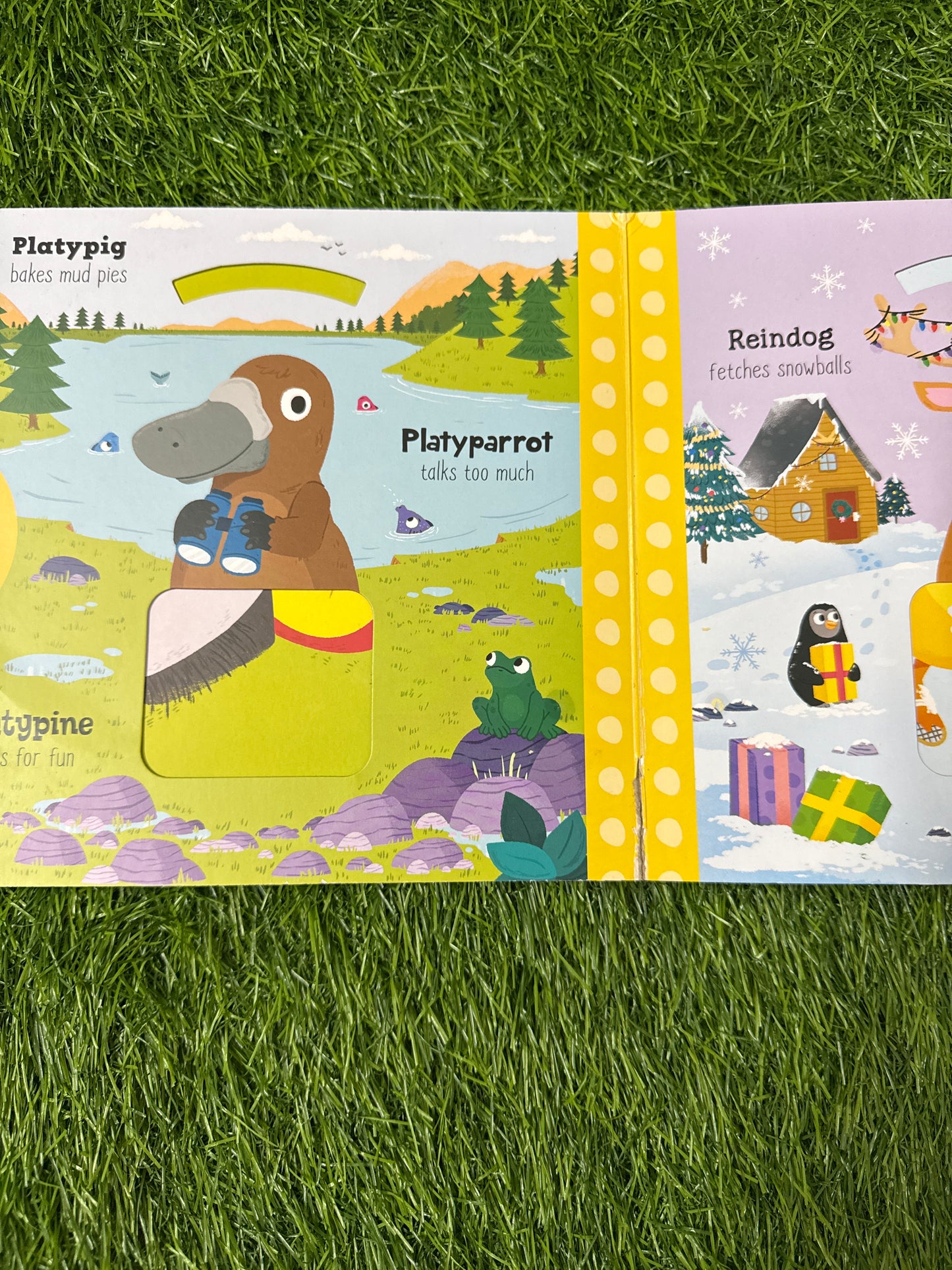 Wonder Wheel Amazing Animals: Mix and Match Board Book