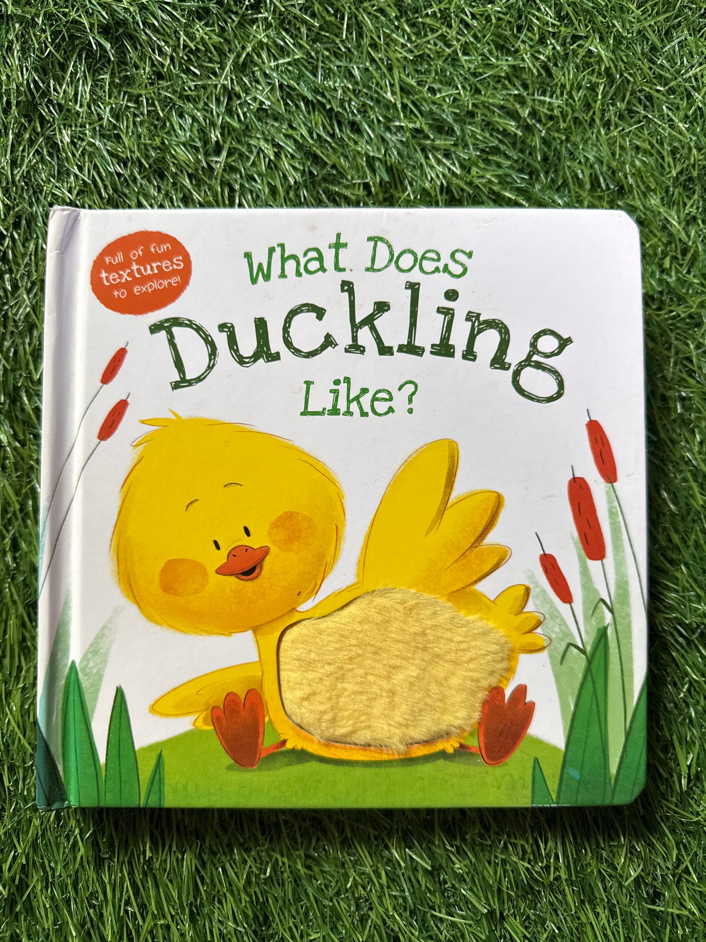 What Does Duckling Like?