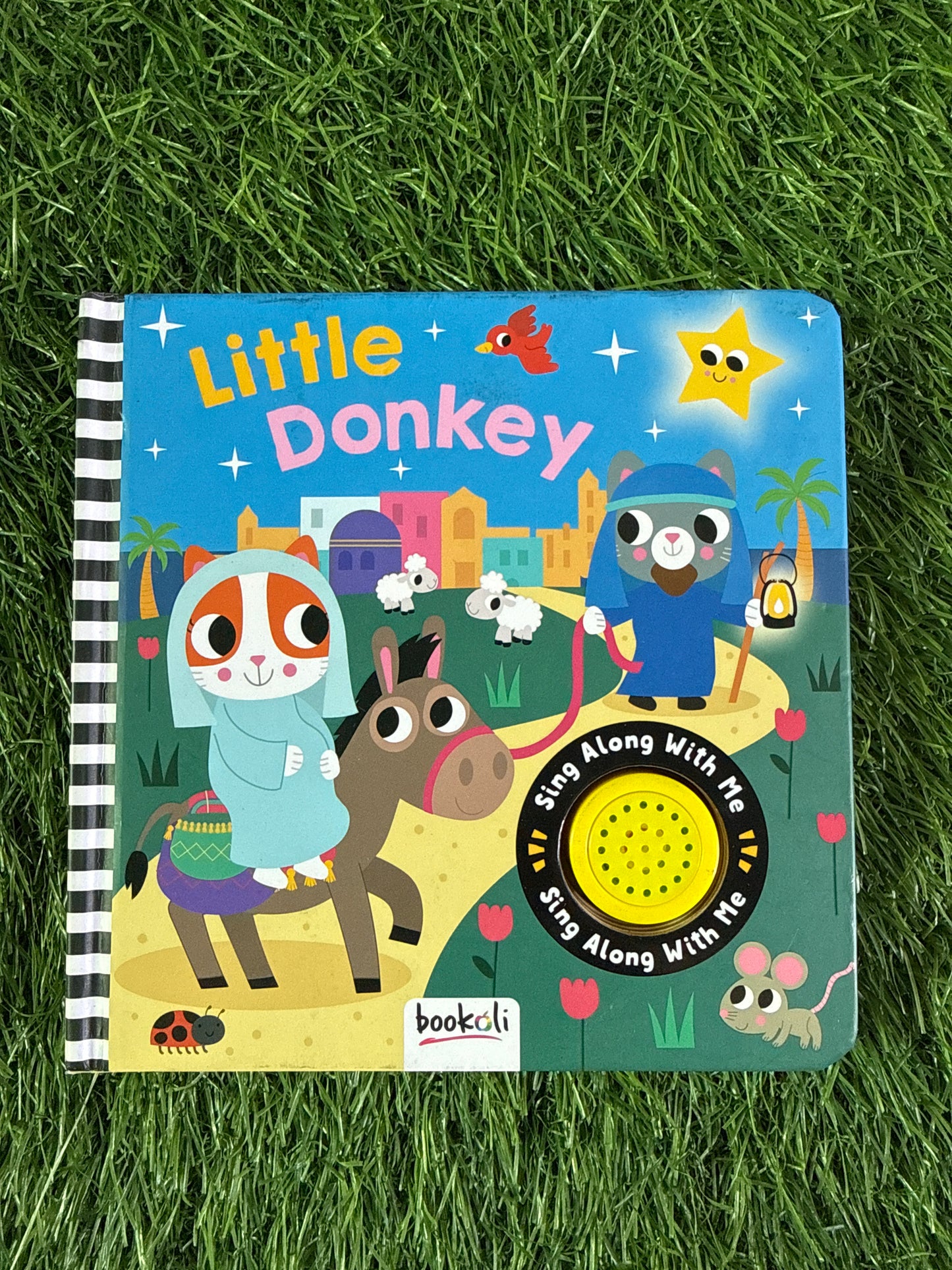 Little Donkey