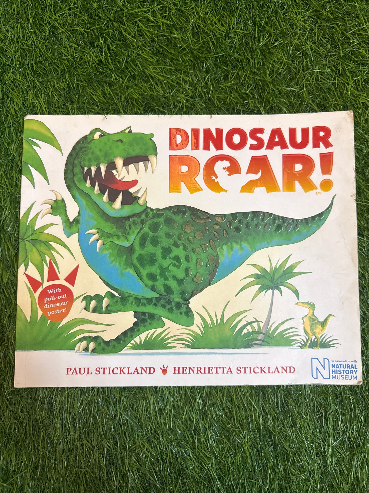 Dinosaur Roar!