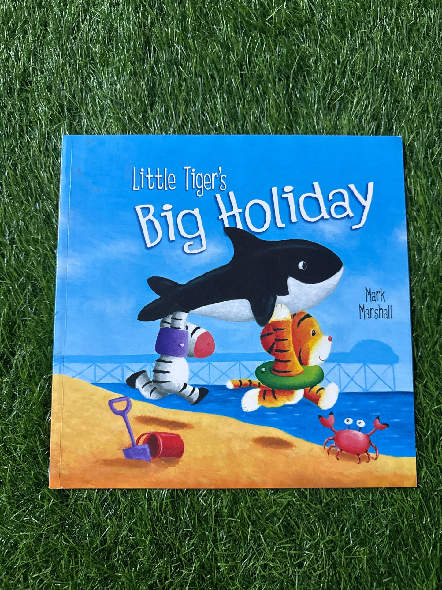 Little Tiger's Big Holiday