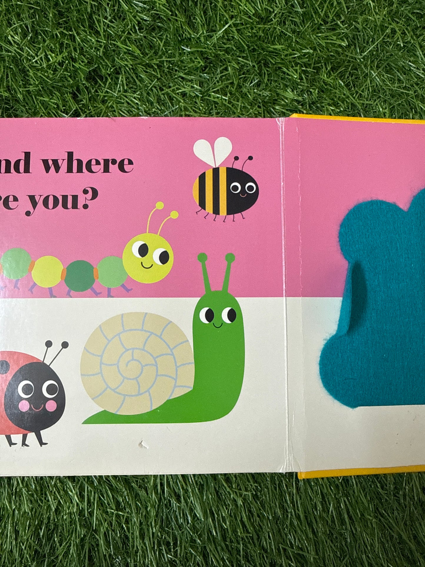 Where’s the Ladybug?