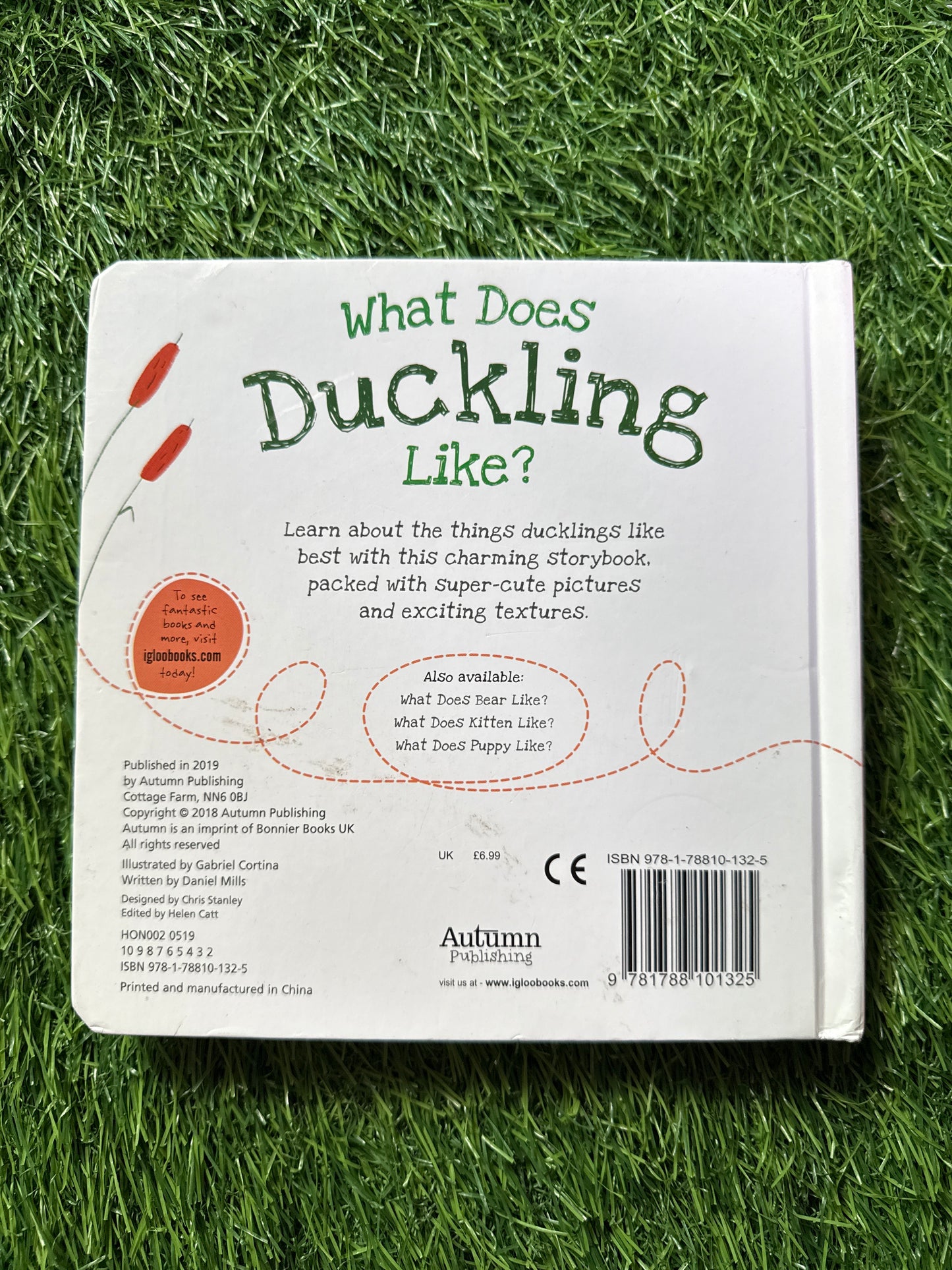 What Does Duckling Like?