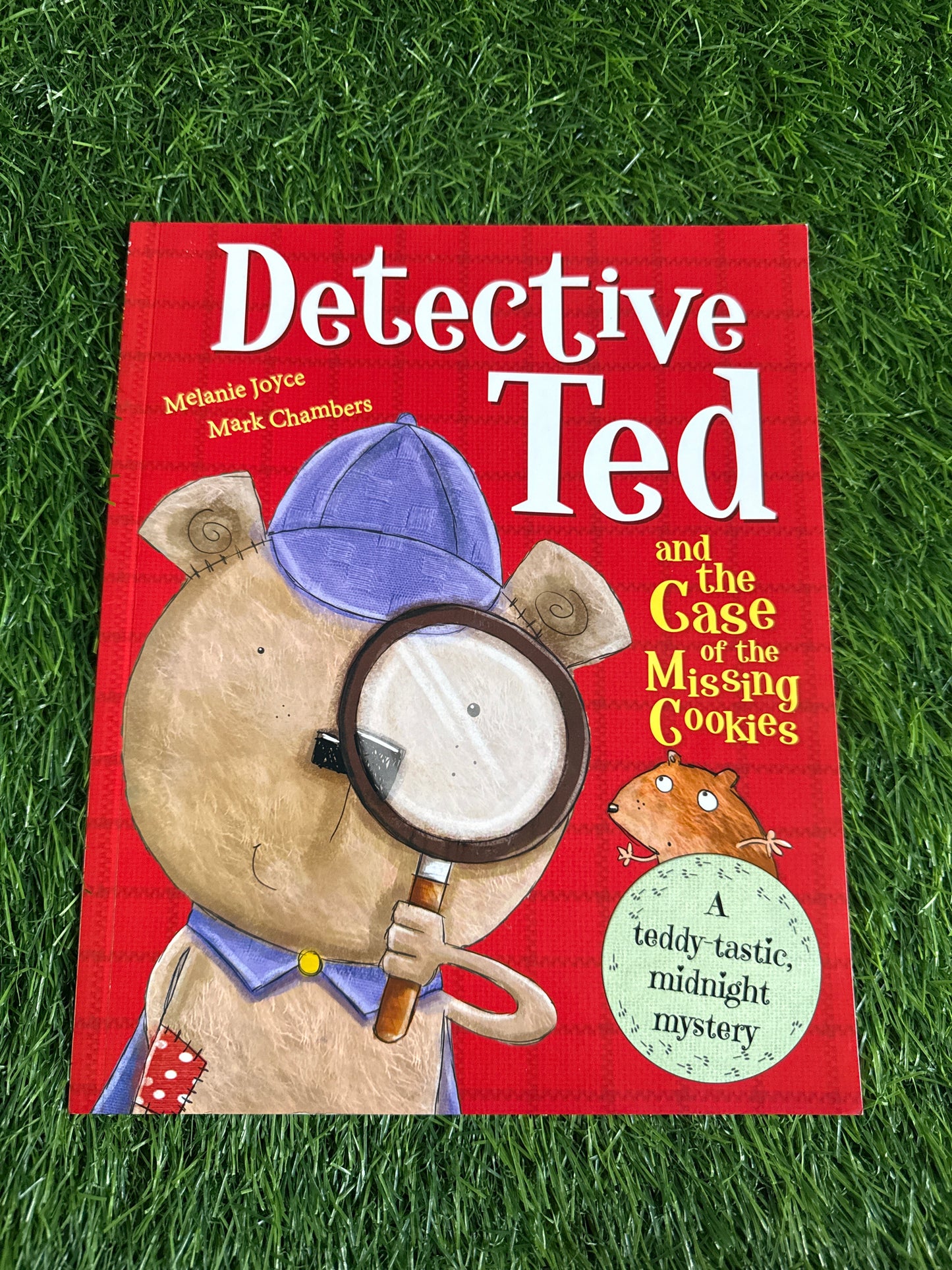Detective Ted and the Case of the Missing Cookies