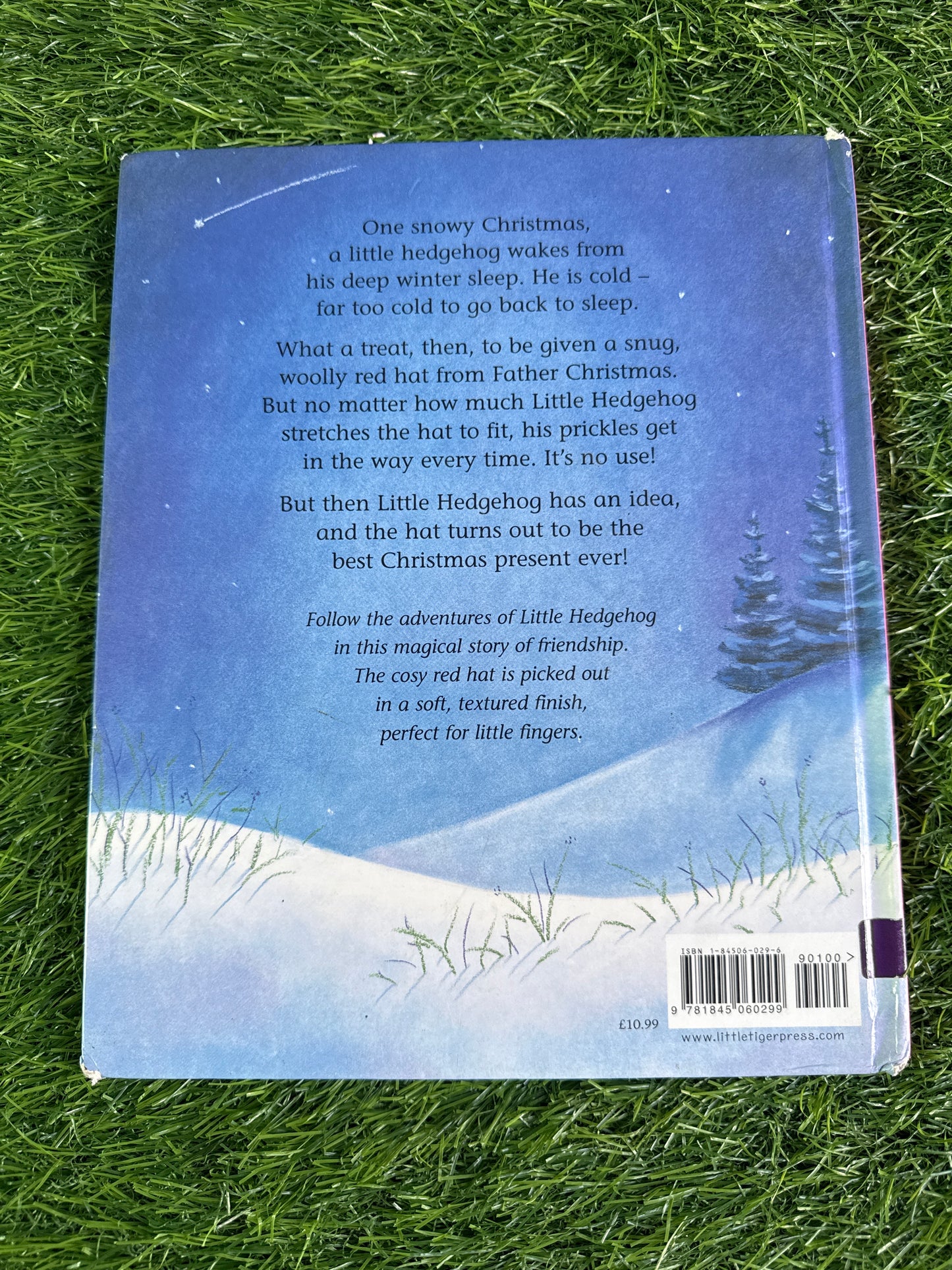 One Snowy Night