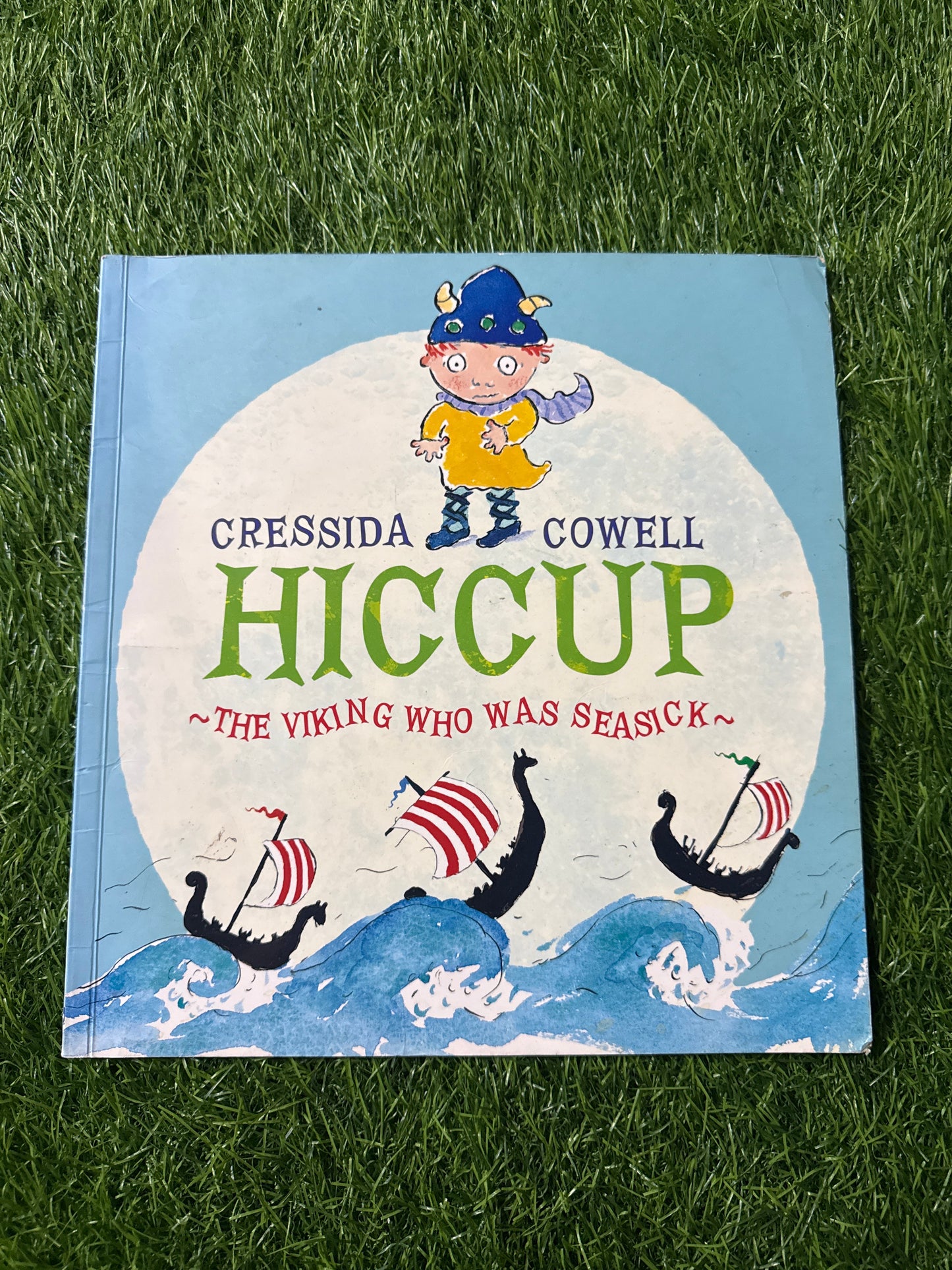 Hiccup the Viking Who Was Seasick