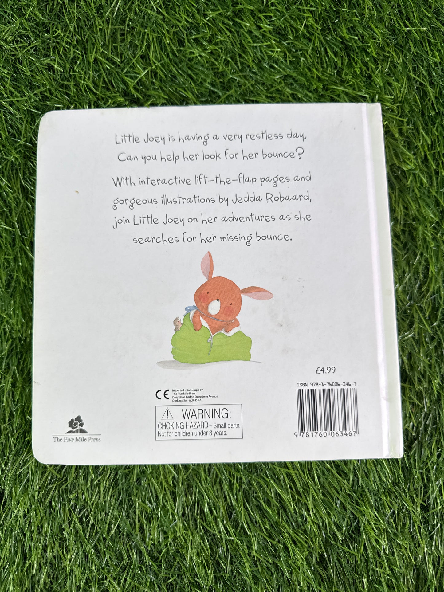 The Little Joey Who Lost Her Bounce (Little Creatures)