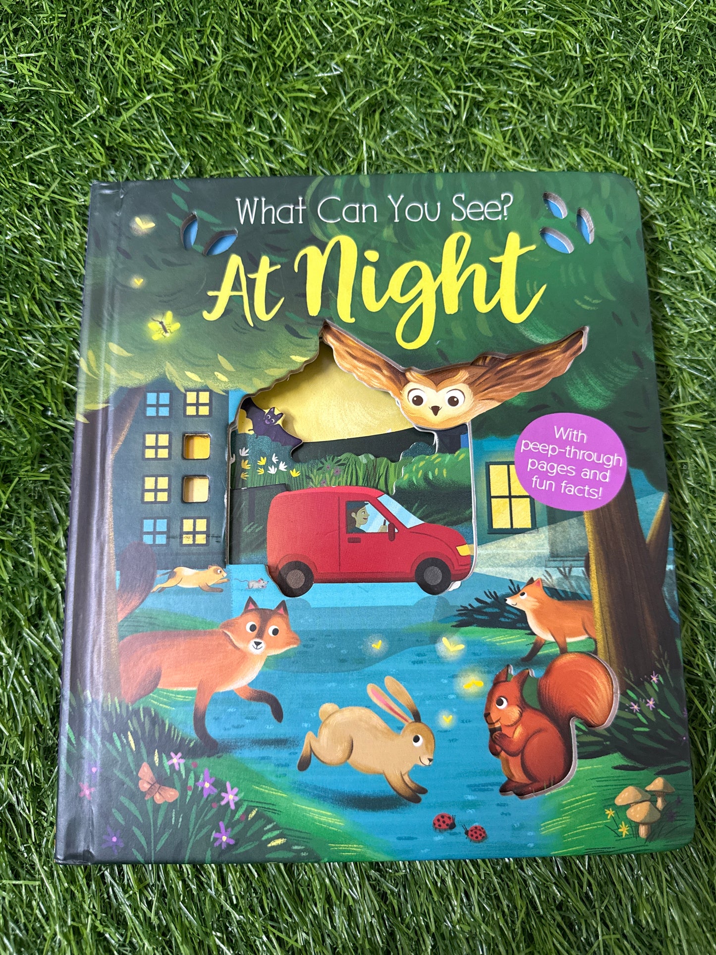 What Can You See At Night?