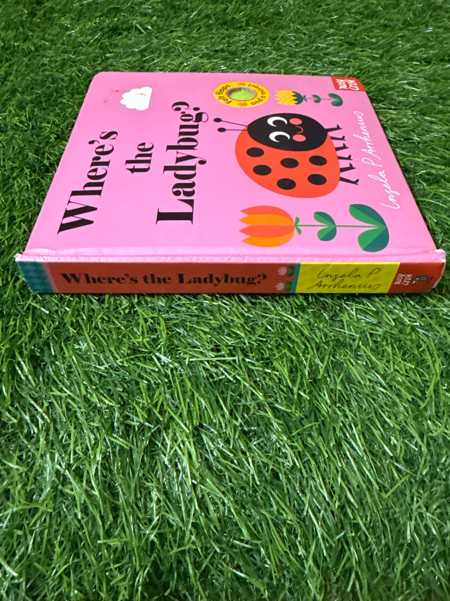 Where’s the Ladybug?
