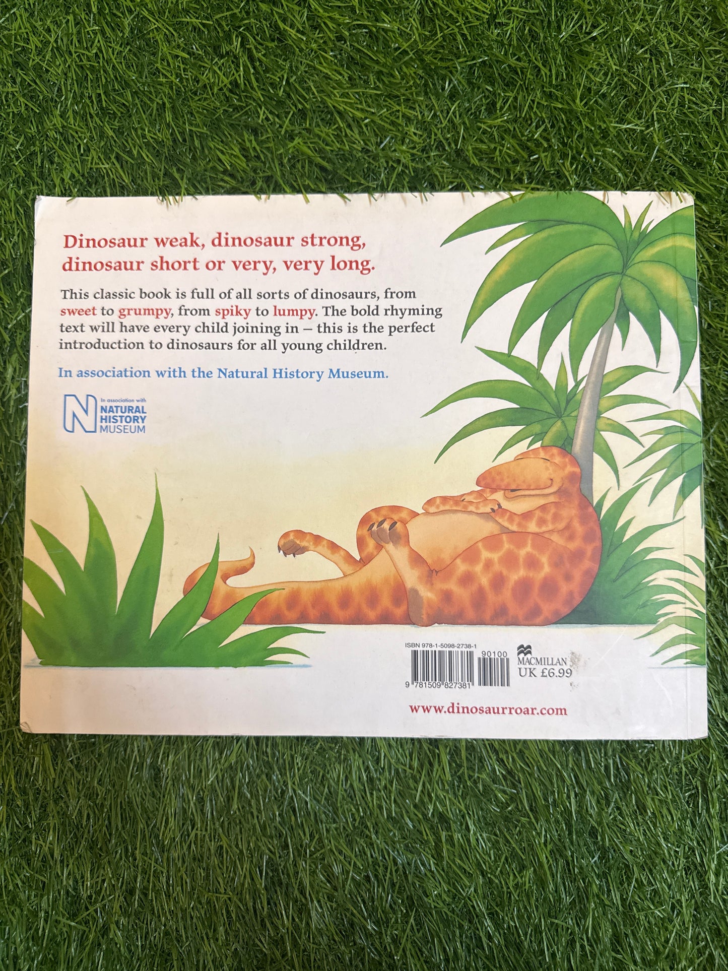 Dinosaur Roar!