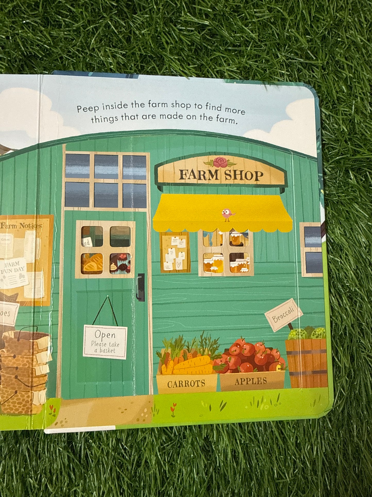 Peep Inside the Farm