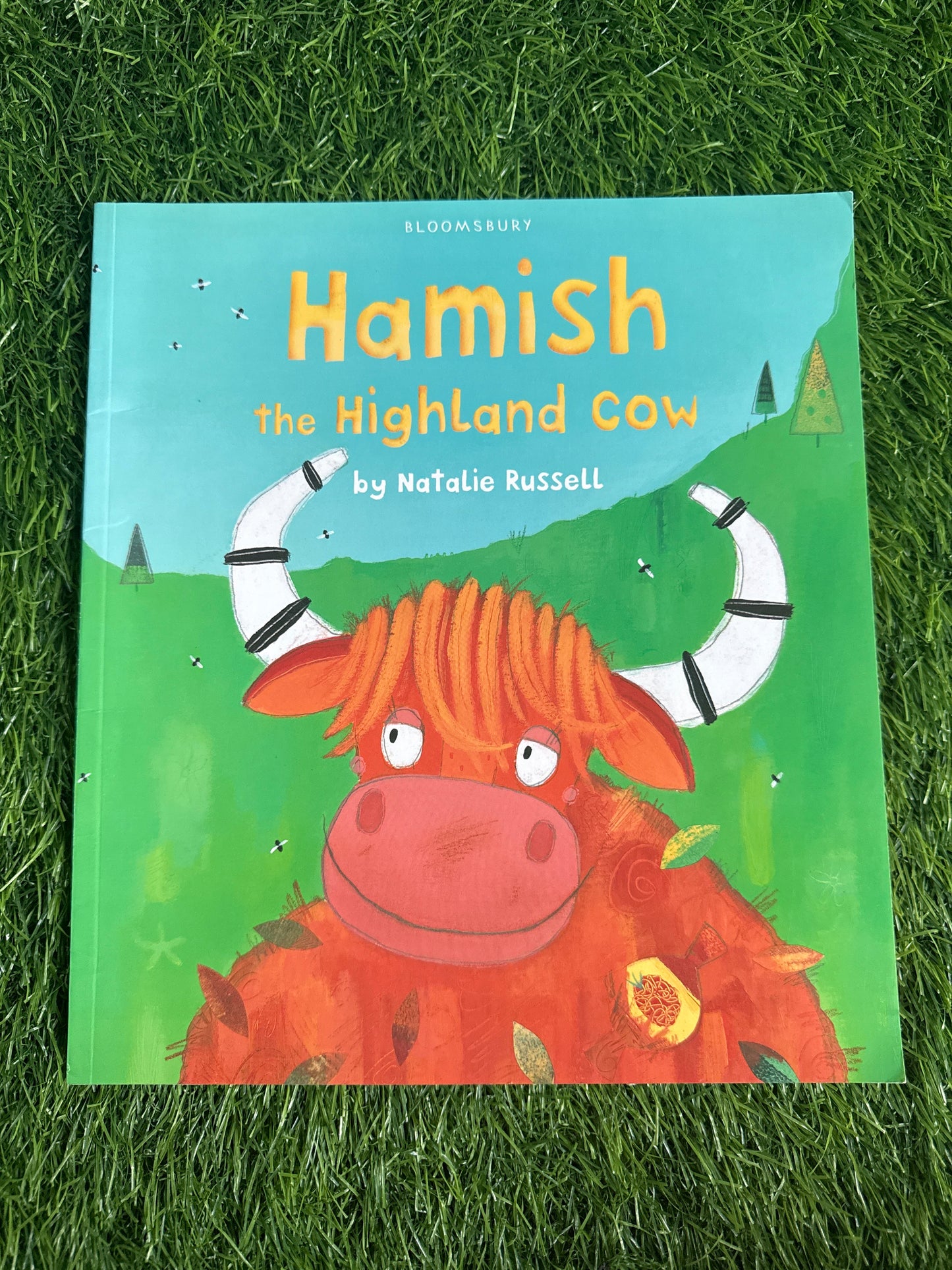 Hamish the Highland Cow