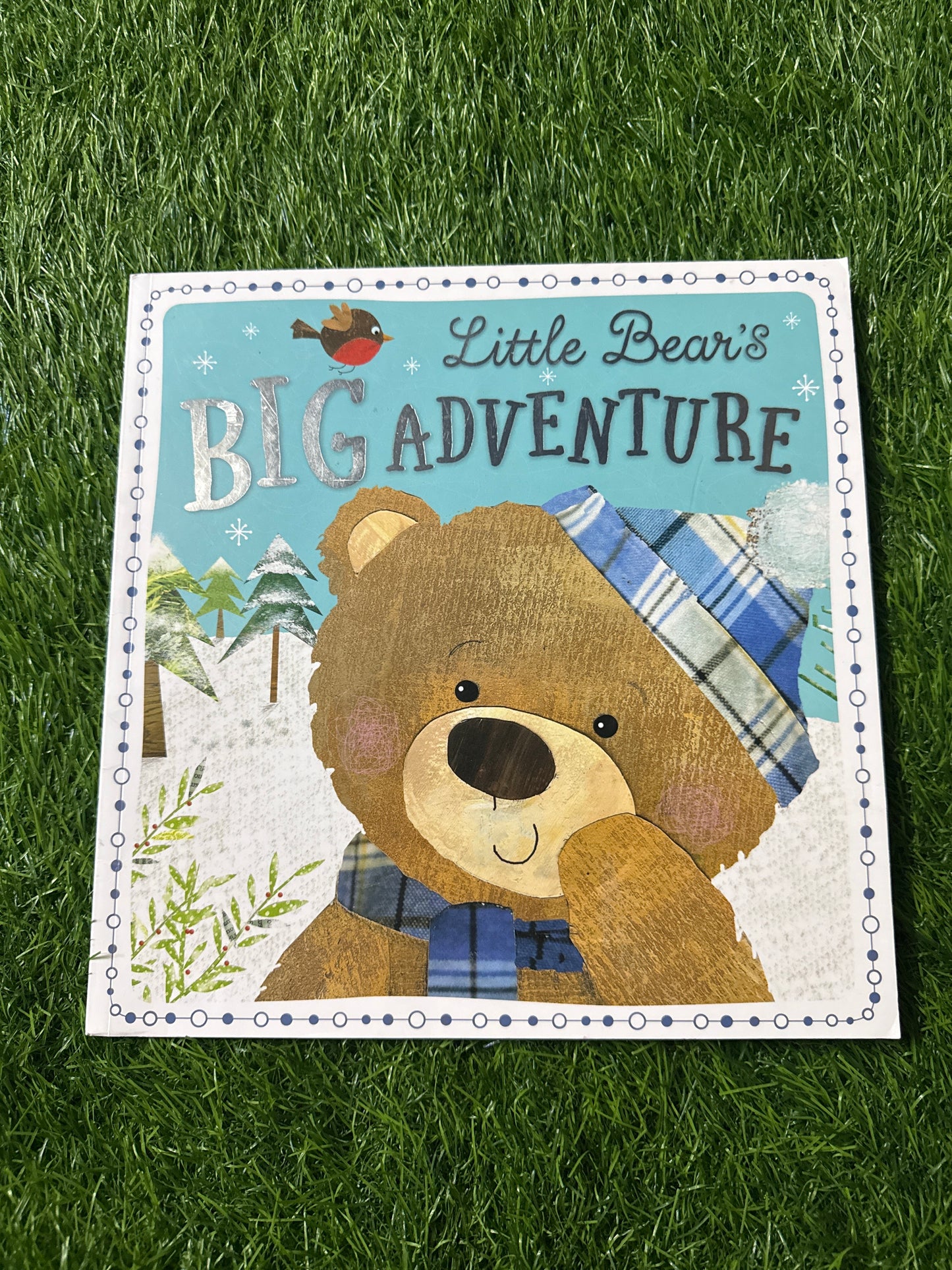 Little Bear's Big Adventure