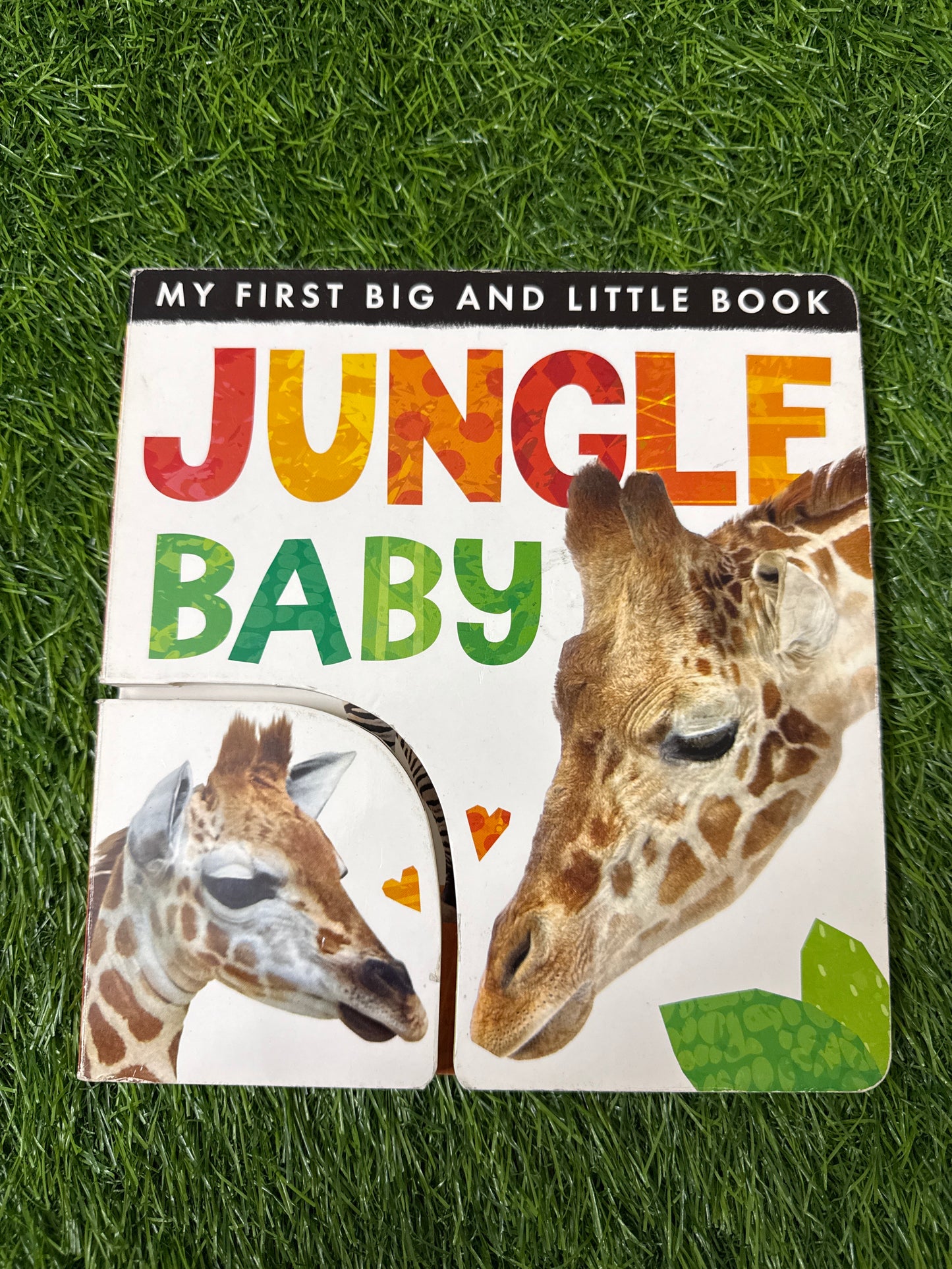 My First Big and Little Book: Jungle Baby