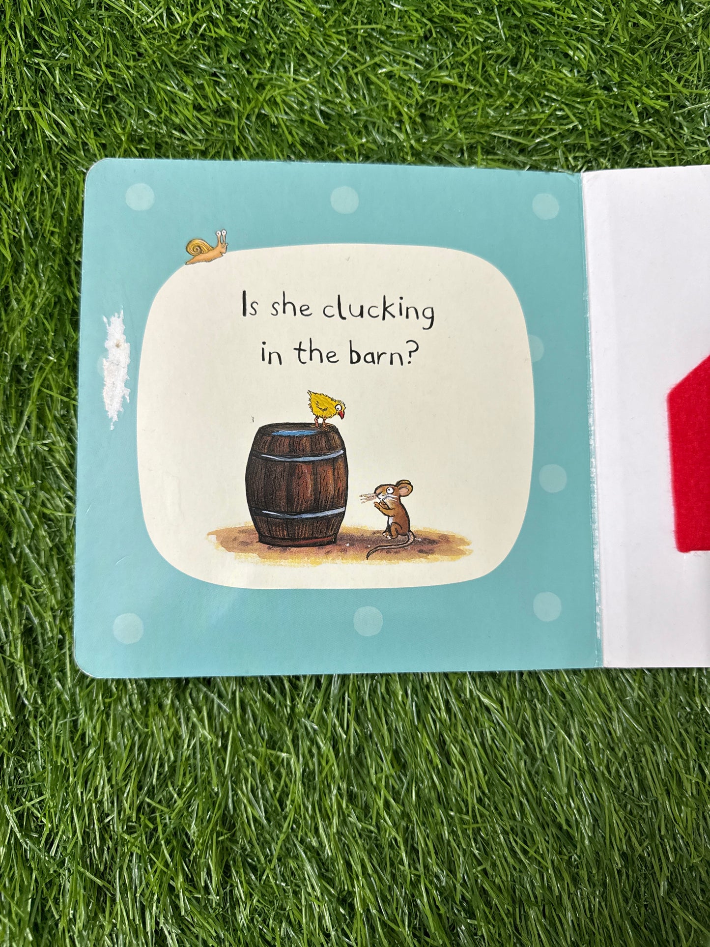 Who's Hiding On the Farm?