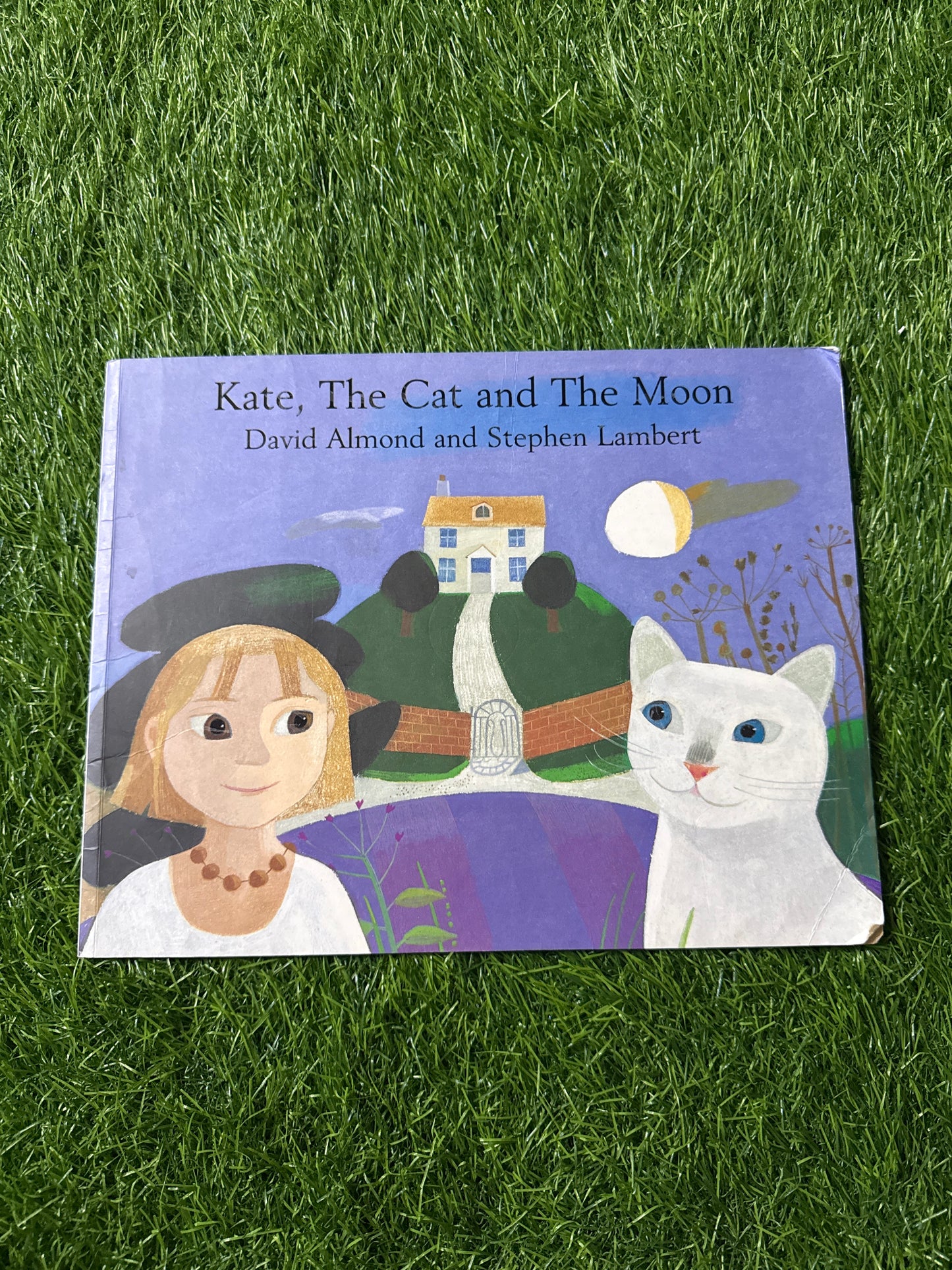 Kate, The Cat and The Moon