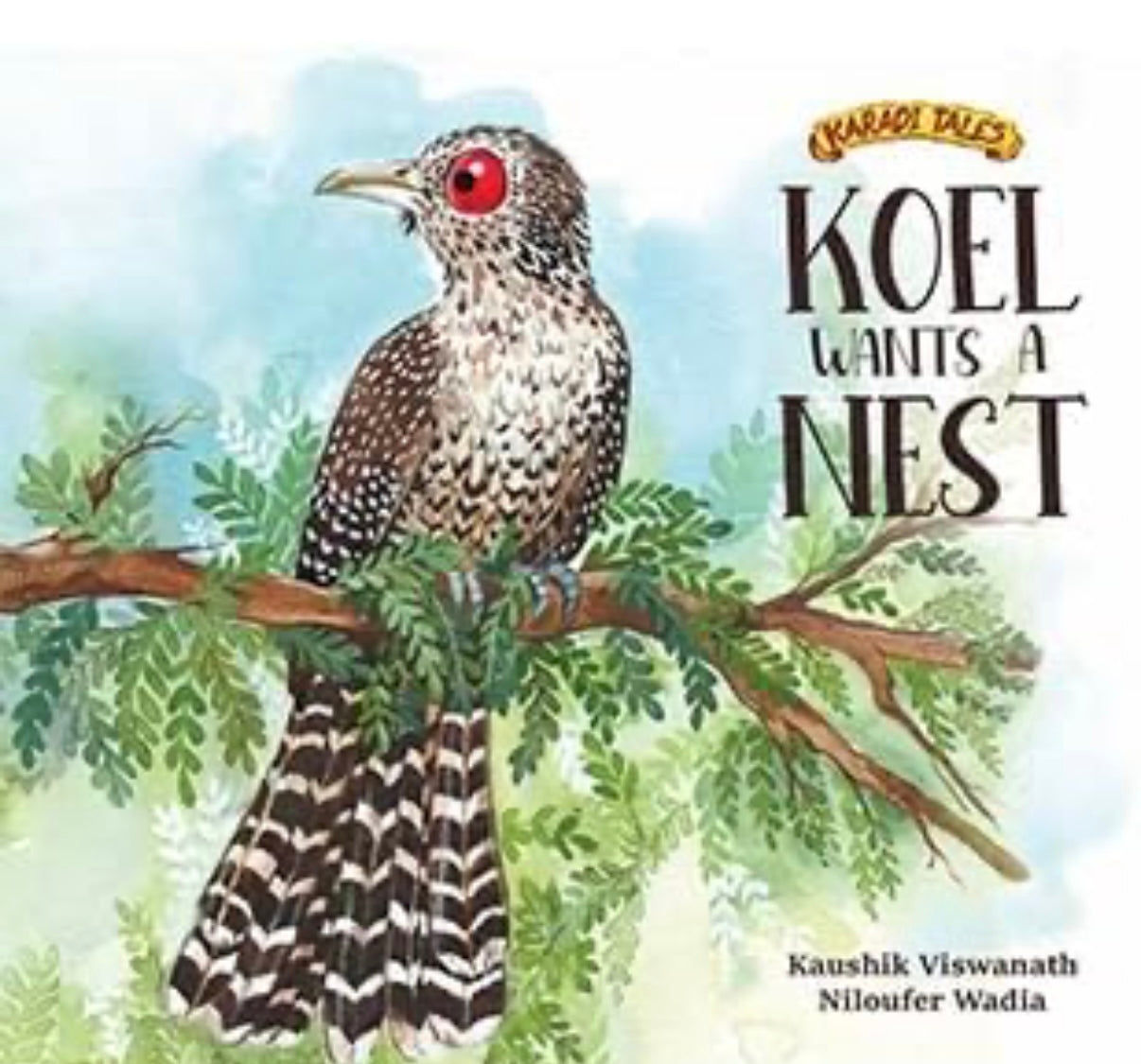 Koel Wants a Nest