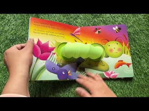 Caterpillar Spring, Butterfly Summer