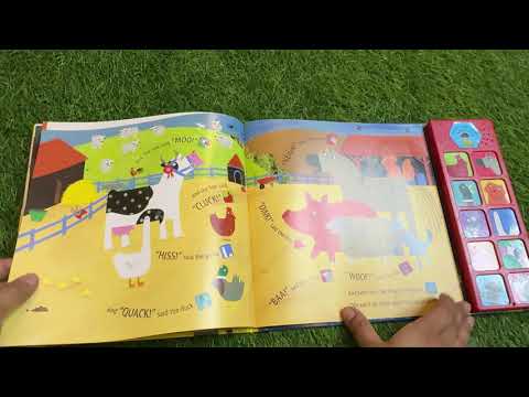 What The Ladybird Heard Sound Book