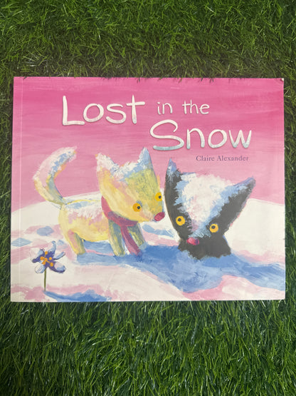 Lost in the Snow