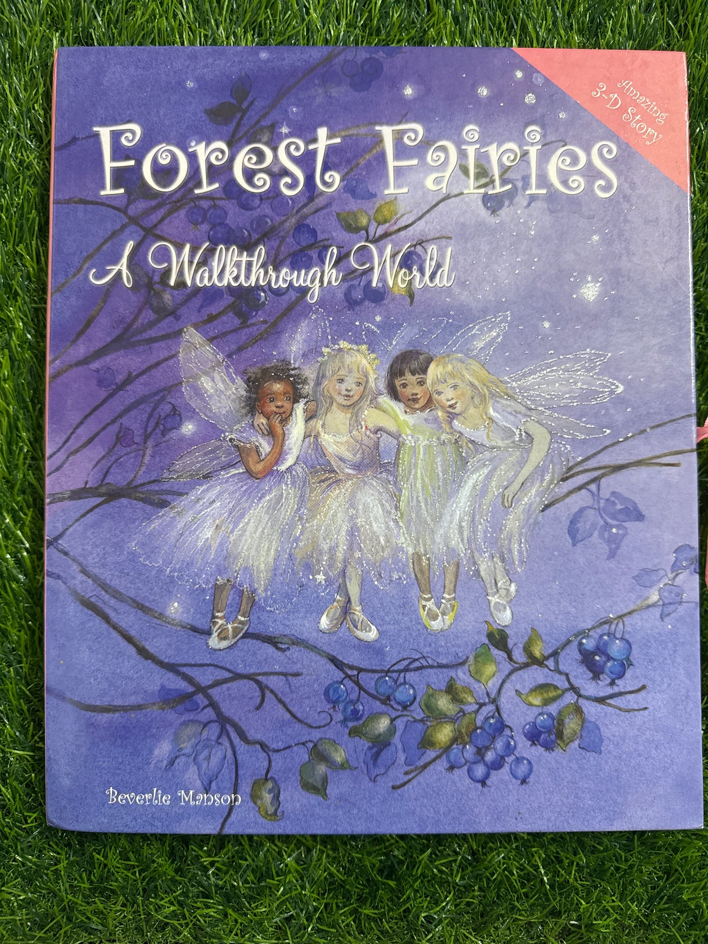 Forest Fairies A Walkthrough World