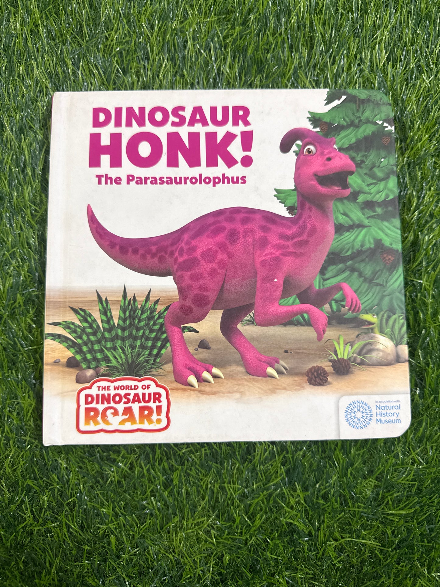Dinosaur Honk! The Parasaurolophus