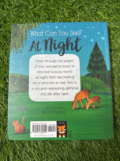 What Can You See At Night?