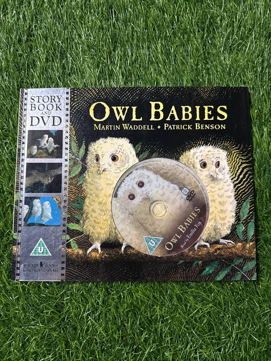 Owl Babies