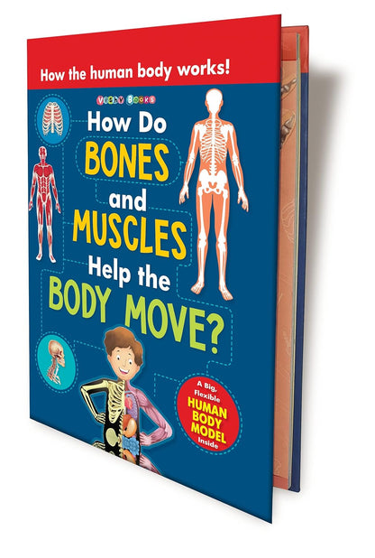 How Do Bones And Muscles Help The Body Move?(Concept Pop-up)