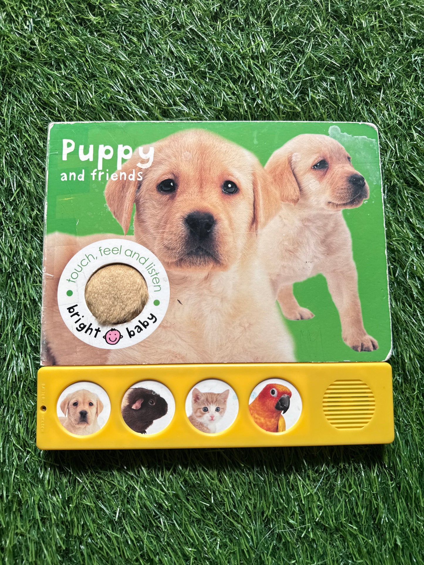 Puppy and Friends