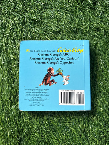 Curious George and the Bunny