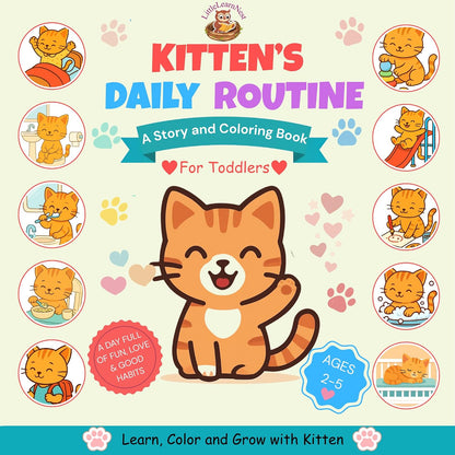 Kitten's Daily Routine