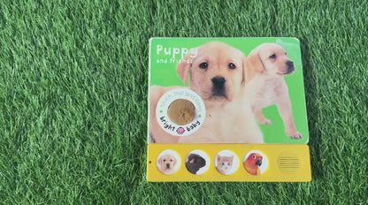 Puppy and Friends